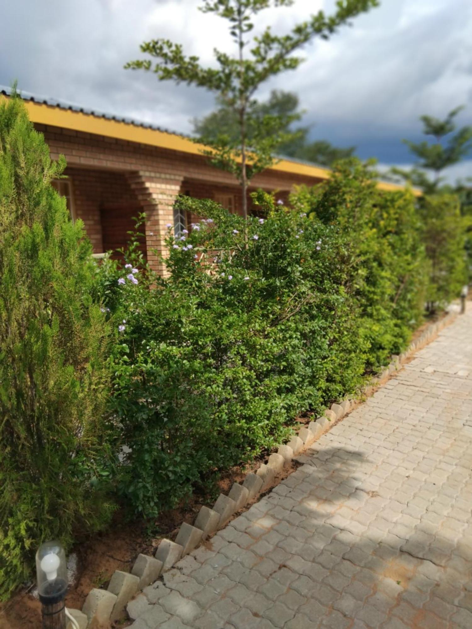 Sunshinevibe Guest House Kasane Zewnętrze zdjęcie